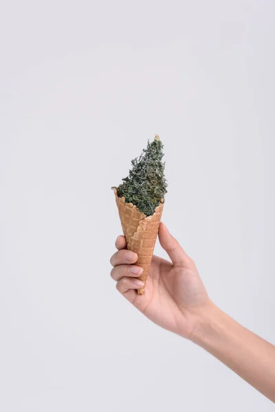 Ice cream cone with christmas tree — Stock Photo