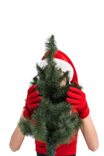 Woman in santa costume with christmas tree — Stock Photo