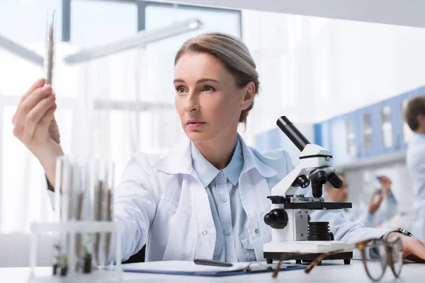 Scientist examining test tube — Stock Photo