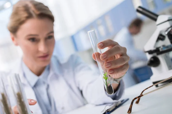 Laboratory — Stock Photo