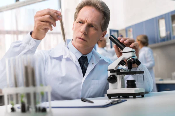 Chemist working with test tube — Stock Photo