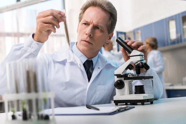 Chemiker arbeitet mit Reagenzglas — Stockfoto