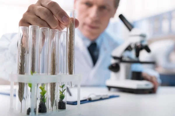 Chemist working with test tubes — Stock Photo