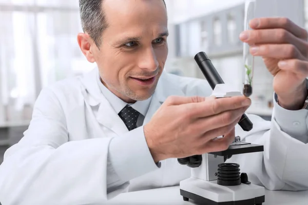 Técnico que examina a amostra — Fotografia de Stock