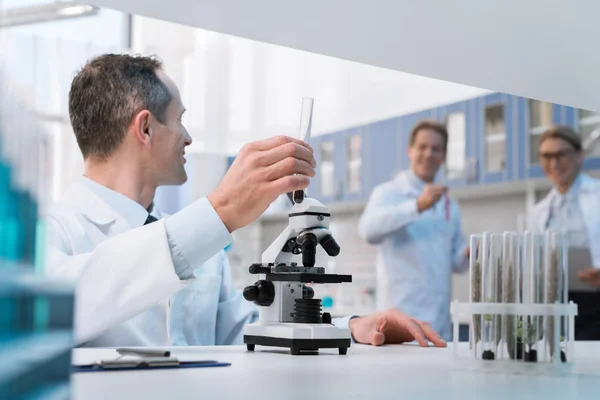 Científicos trabajando en laboratorio - foto de stock