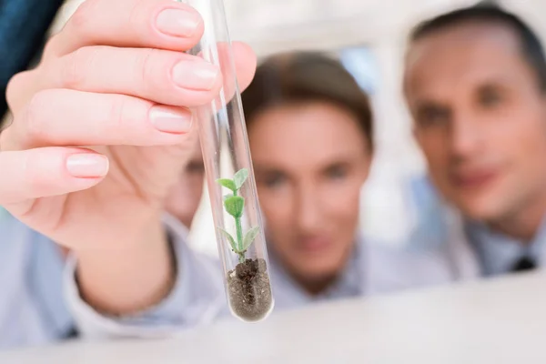 Cientistas examinando tubo de ensaio — Fotografia de Stock