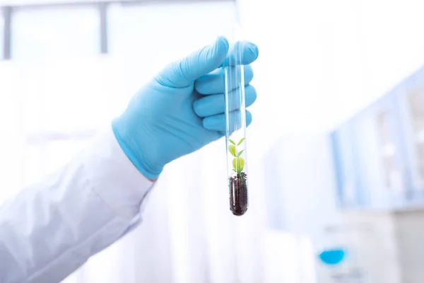 Médico segurando tubo de ensaio — Fotografia de Stock