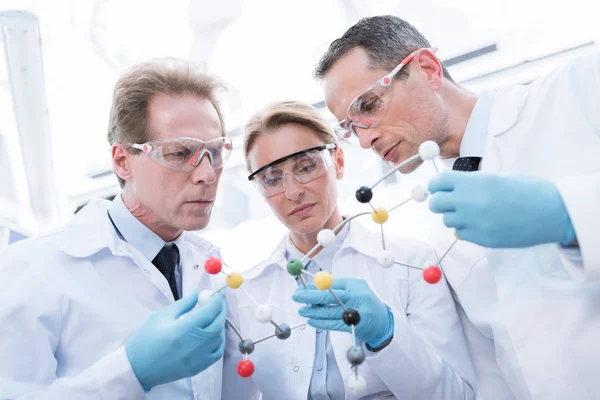Doctors examining molecular model — Stock Photo