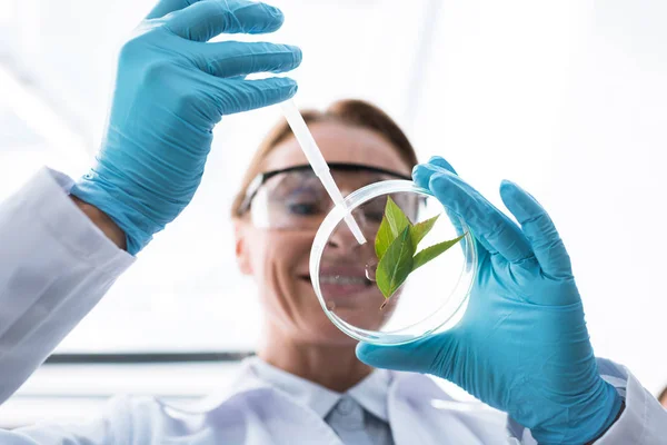 Scientist with petri dish — Stock Photo