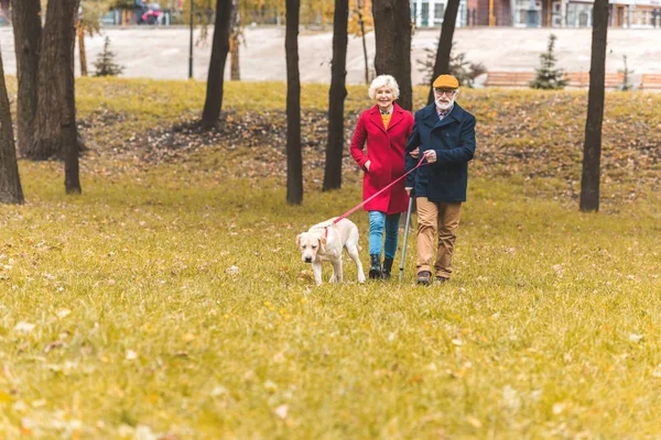 Pareja con perro en el parque de otoño — Stock Photo