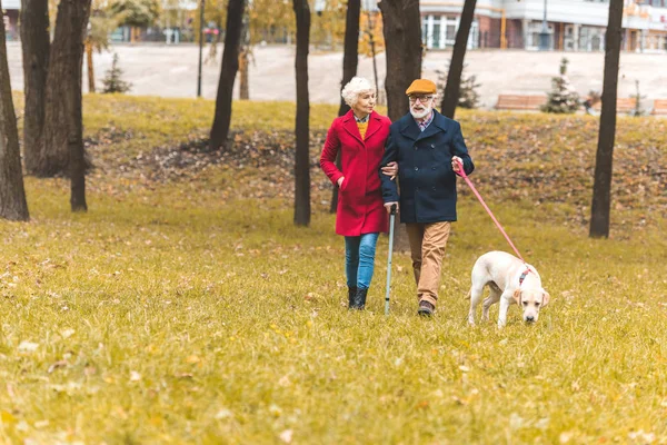 Пожилая пара с собакой в осеннем парке — стоковое фото