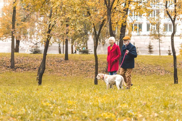 Senior pareja con perro en otoño parque - foto de stock
