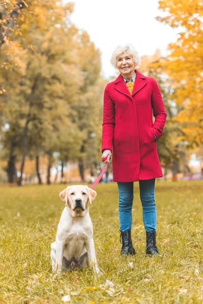 Старша жінка, що йде з собакою — стокове фото
