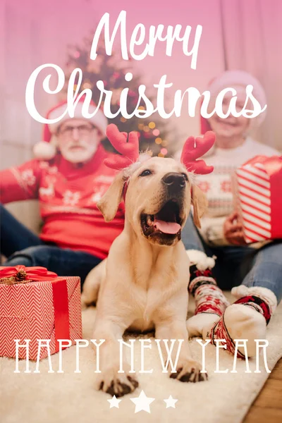 Senior couple with gifts and dog — Stock Photo