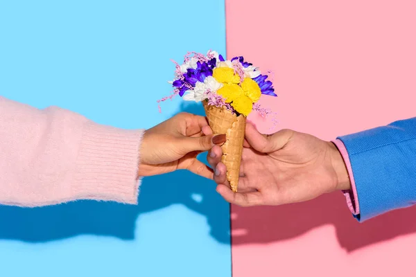 Cropped image of hands with flowers on pink and blue background — Stock Photo