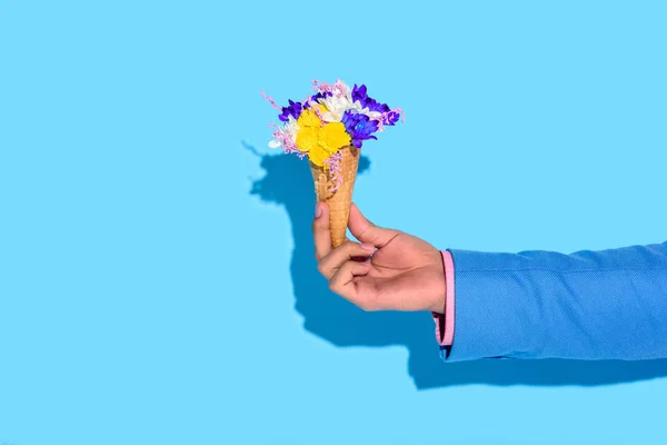 Immagine ritagliata di uomo mano che tiene fiori su sfondo blu — Foto stock