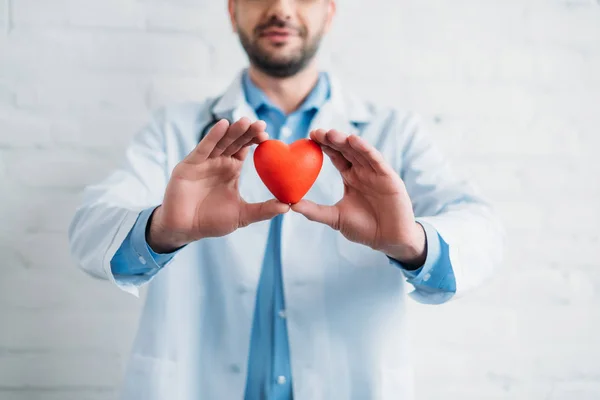 Обрізаний знімок красивого бородатого лікаря з іграшковим серцем — стокове фото