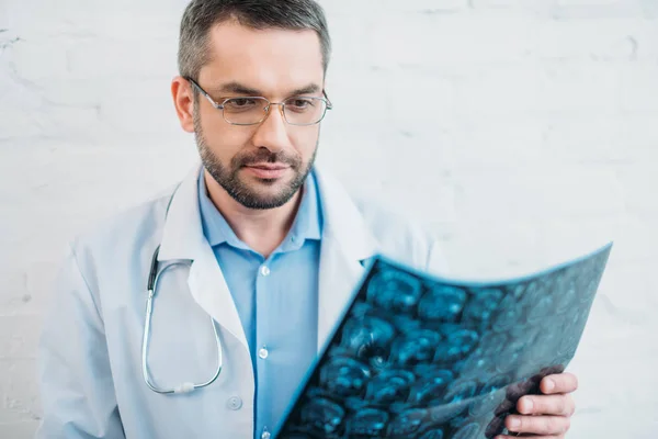 Handsome adult doctor examining mri scan — Stock Photo