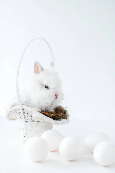 Cute white rabbit on nest in basket and chicken eggs on white — Stock Photo