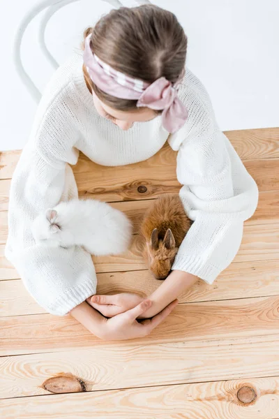 Top view of girl sitting at wooden table and looking at cute furry rabbits — Stock Photo