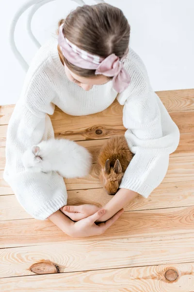 Vista superior de la chica sentada en la mesa de madera y mirando lindos conejos peludos - foto de stock