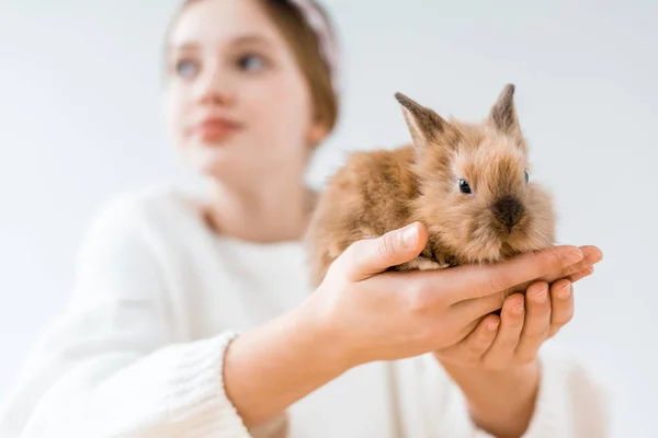 Close-up view of girl holding cute furry rabbit on white — Stock Photo