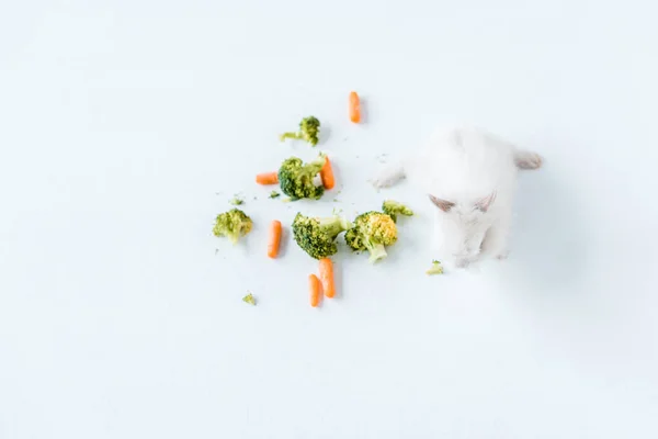 Top view of fresh vegetables and cute furry rabbit on white — Stock Photo