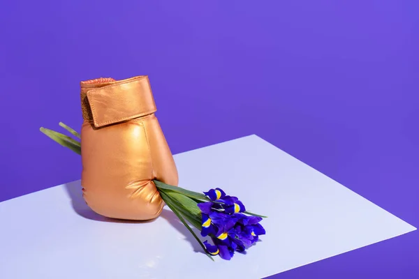 Purple iris flowers in golden boxing glove — Stock Photo