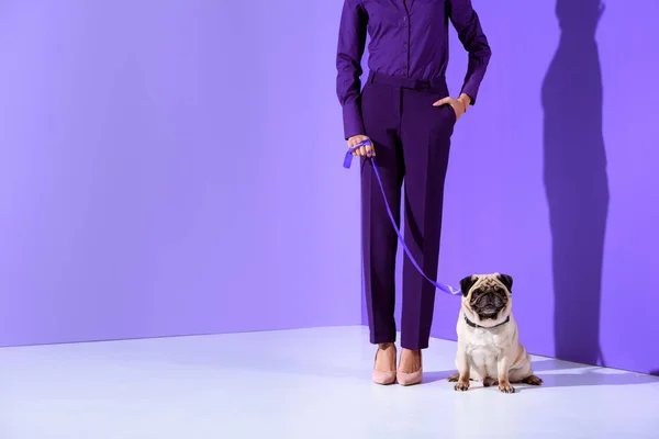 Cropped view of girl posing in purple suit with pug, ultra violet trend — Stock Photo