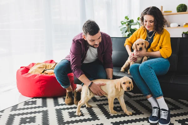 Couple playing with two labrador puppies while sitting on sofa — Stock Photo