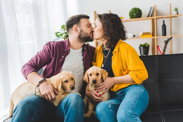 Мужчина и женщина целуются и держат щенков лабрадора — стоковое фото