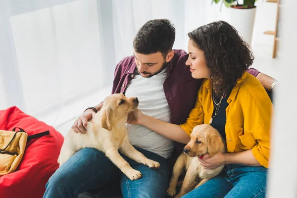 Man and woman holding two labrador puppies on sofa — Stock Photo