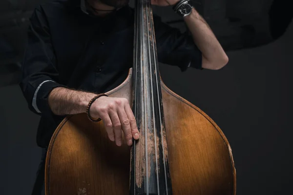 Contrabass — Stock Photo