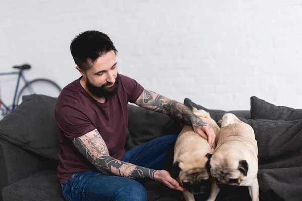 Tatuado bonito homem brincando com pugs em casa — Fotografia de Stock