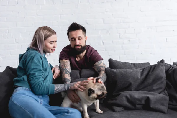 Tatuado casal palming pet no sofá em casa — Fotografia de Stock