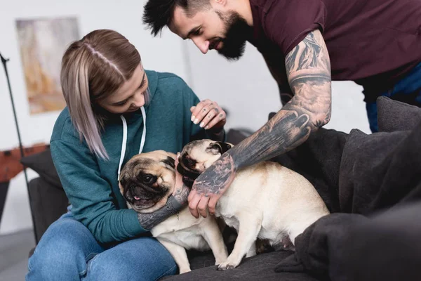 Casal tatuado brincando com animais de estimação no sofá em casa — Fotografia de Stock