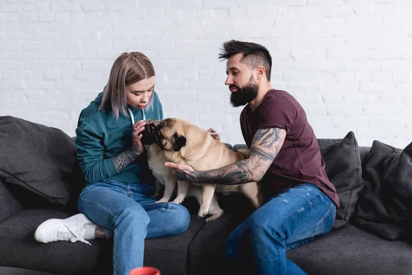 Casal tatuado brincando com cães em casa — Fotografia de Stock