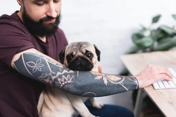 Abgeschnittenes Bild eines tätowierten gutaussehenden Mannes mit Mops zu Hause — Stockfoto