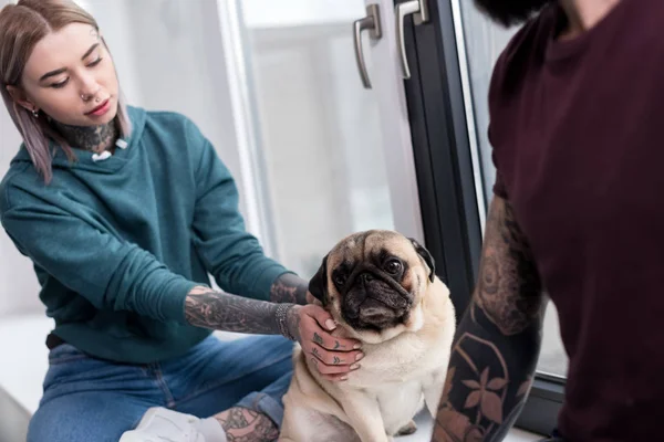 Cropped image of tattooed couple sitting on windowsill with pug at home — Stock Photo