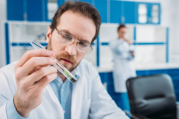 Selective focus of scientist in white coat and eyeglasses looking at tube with reagent in hand in laboratory — Stock Photo