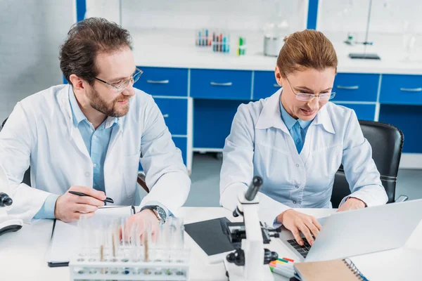 Portrait of scientific researcher working on laptop with colleague near by at workplace in laboratory — Stock Photo