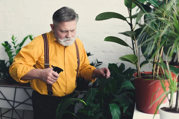 Handsome bearded senior gardener watering plants — Stock Photo