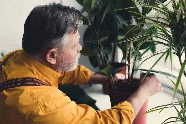 Gardening — Stock Photo