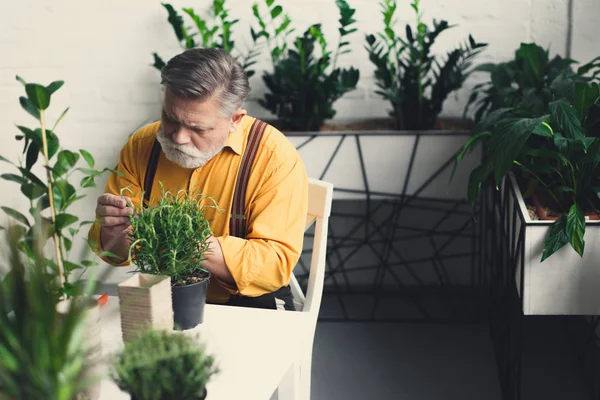 Cultivador - foto de stock