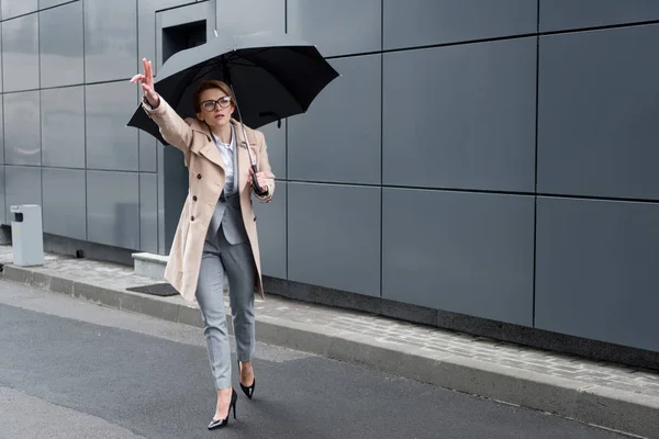 Empresária em casaco elegante com guarda-chuva chamando para táxi na rua — Fotografia de Stock