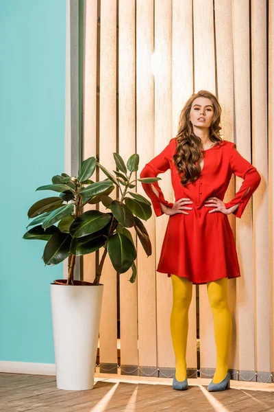 Mujer de estilo retro de pie en la planta ficus en maceta en el apartamento colorido, concepto de casa de muñecas - foto de stock