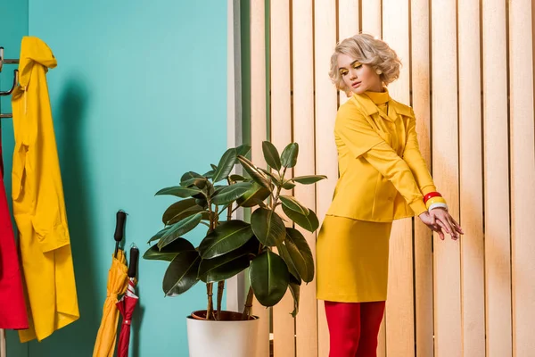 Donna in stile retrò in piedi a ficus pianta in vaso da fiori in appartamento colorato, concetto di casa bambola — Foto stock