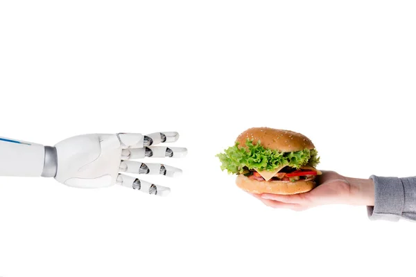 Cropped shot of human giving burger to robot isolated on white — Stock Photo