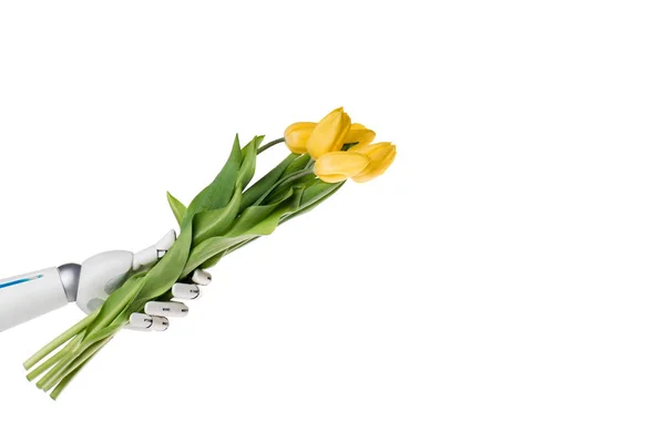Plan recadré de robot présentant bouquet de tulipes jaunes isolées sur blanc — Photo de stock