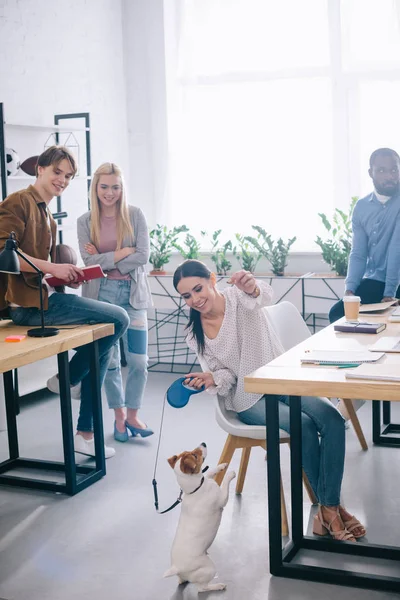 Lächelnde Geschäftsfrau, die mit Jack Russel Terrier an der Leine spielt und Kollegen, die im modernen Büro hinterherstehen — Stockfoto